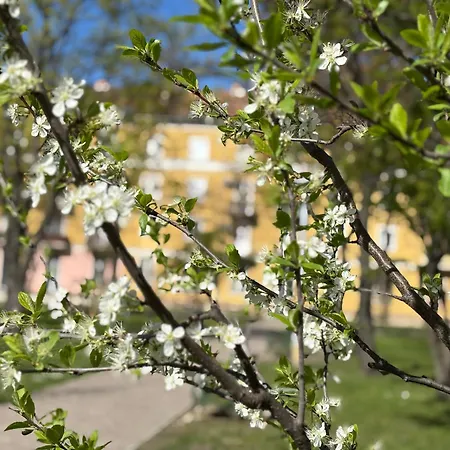 公寓 Macrame - With Cooling Ac